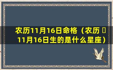 农历11月16日命格（农历 ☘ 11月16日生的是什么星座）